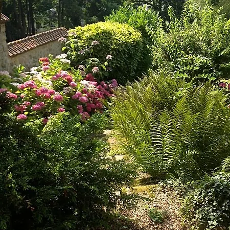Les Hortensias